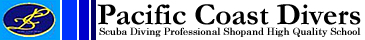 PCD logo